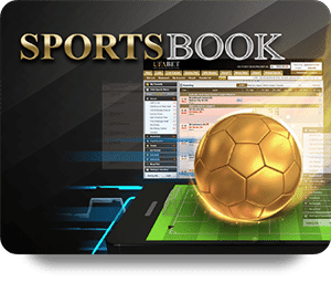 What to Expect in the 2026 Update for 789Bet