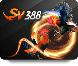 Top Reasons to Choose M88 Casino Royal for Your Online Gaming